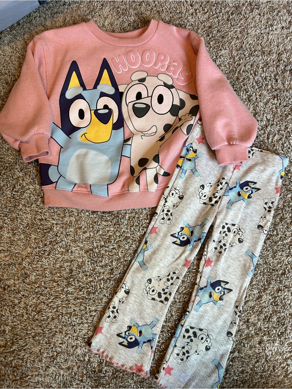 Disney Bluey Set.